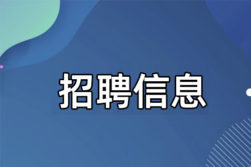 武汉地大华睿地学技术有限公司招聘信息